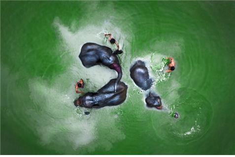 인도에서 3일간 진행되는 바라나시 축제에서 색색깔의 열기구가 하늘에 떠오른 사진. 다라샨 가나파티(Darshan Ganapathy)