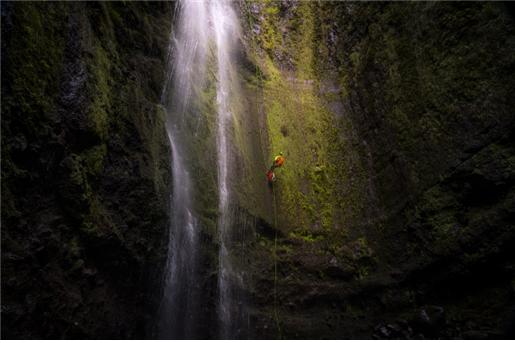 작가 양슈(Yang Shu,중국)