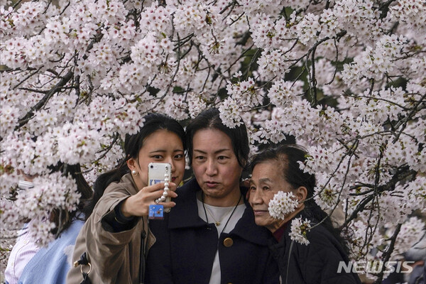 사진=뉴시스 제공.
