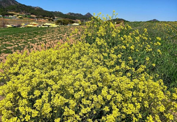 사진=김종원 여행작가