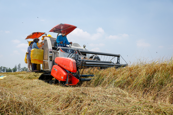 사진=뉴시스 제공.