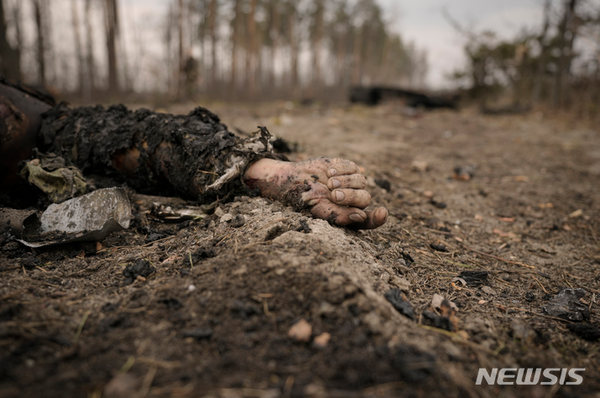 사진 : 뉴시스 제공