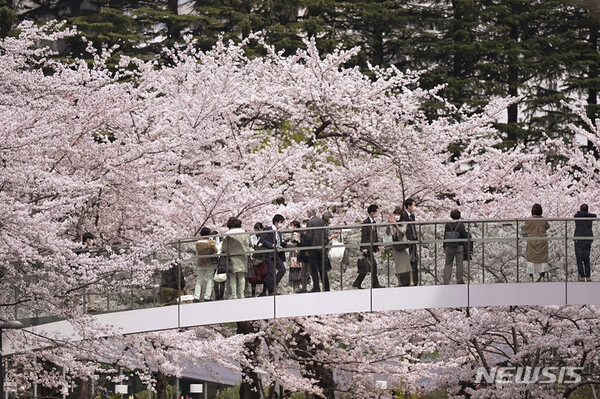 사진=뉴시스 제공.