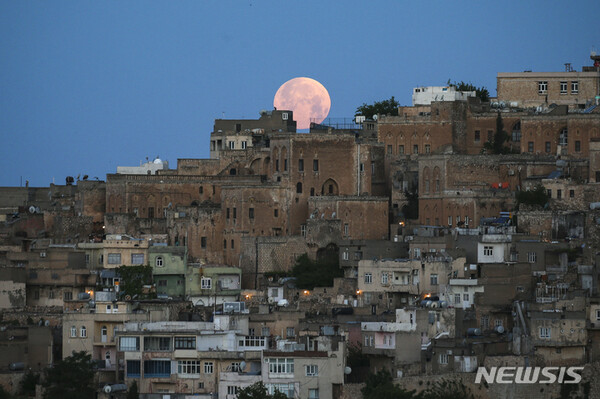 사진=뉴시스 제공.