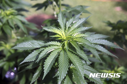 사진=뉴시스 제공