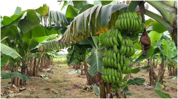 사진=뉴시스 제공.