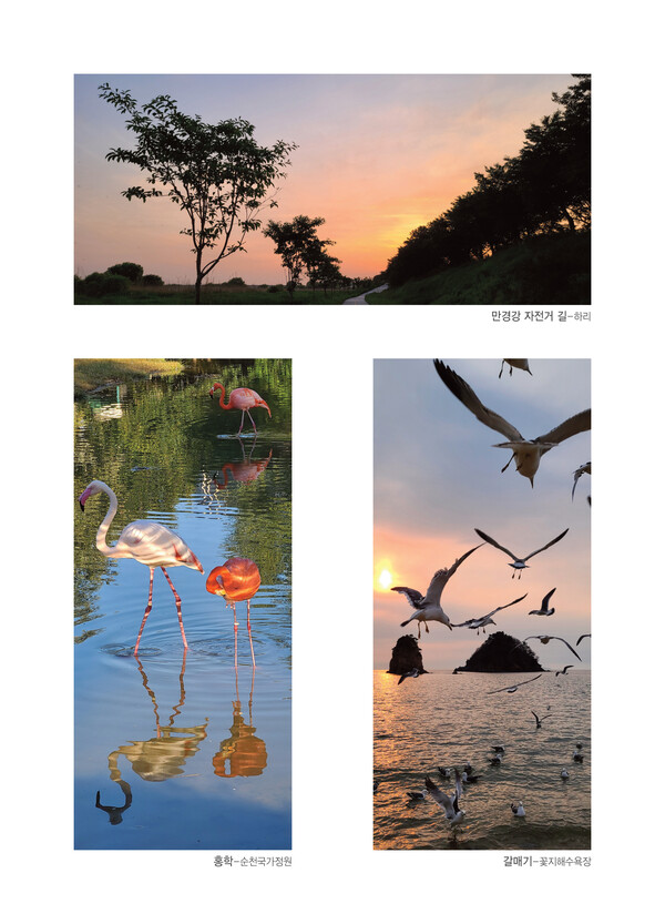 사진=사진작가 박진문