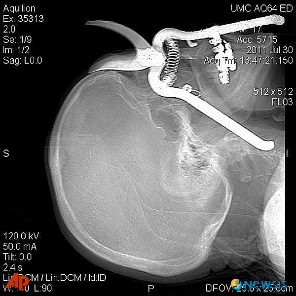 사진=뉴시스 제공.