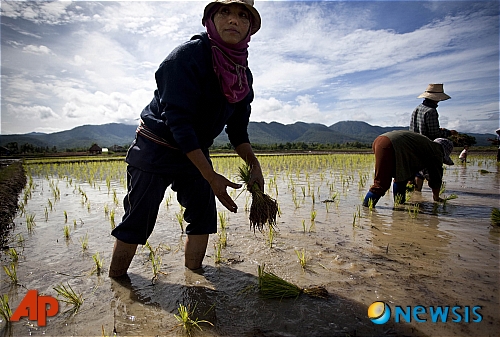 사진=뉴시스 제공.