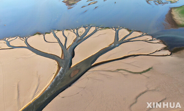 사진=뉴시스 제공.