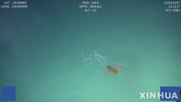 사진=뉴시스 제공.