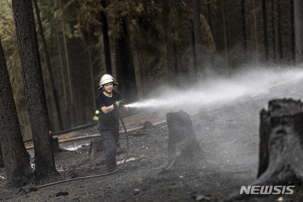 사진=뉴시스 제공.