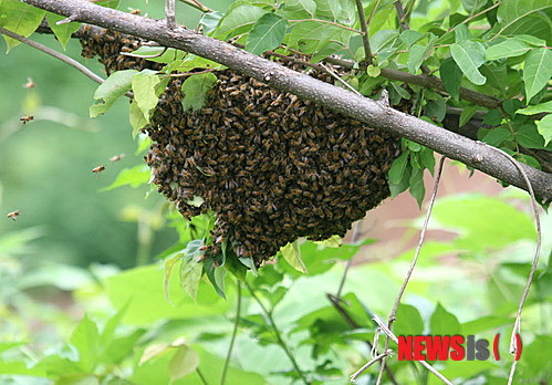 사진=뉴시스 제공.