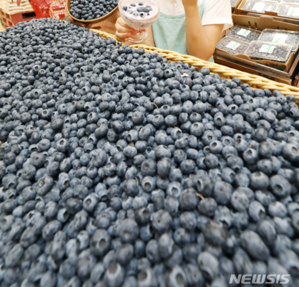 사진=뉴시스 제공.