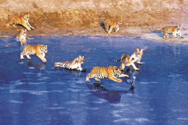 사진=중국신문망 제공.