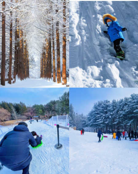 사진=남이섬 제공.