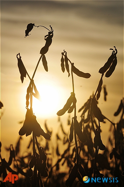 사진=뉴시스 제공.