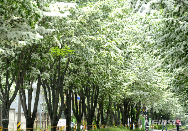 사진=뉴시스 제공.