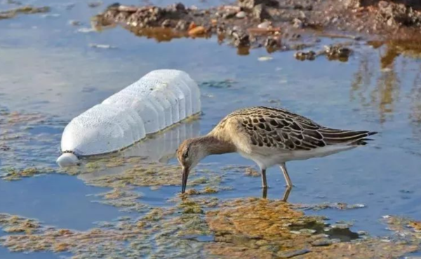 사진=뉴시스 제공.