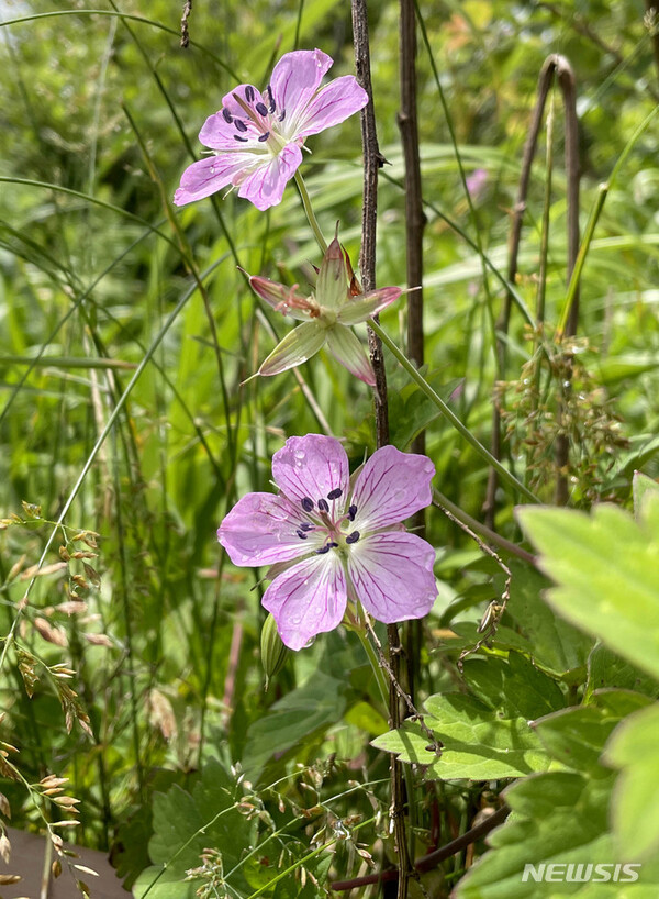 사진=뉴시스 제공.