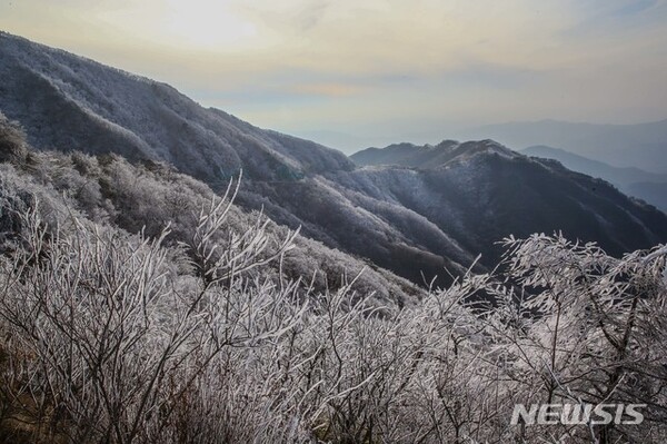사진=뉴시스 제공.