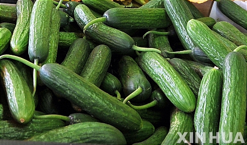 사진=뉴시스 제공.