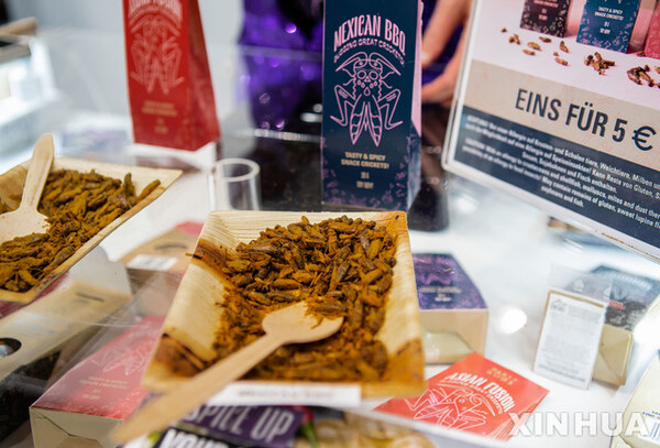 사진=뉴시스 제공.