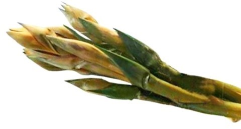 사진=뉴시스 제공.