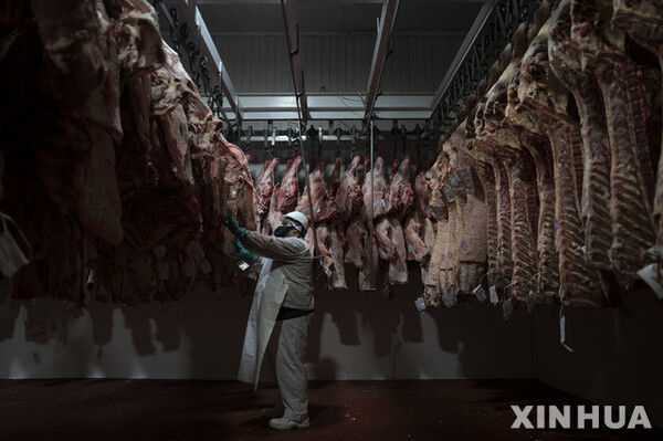 사진=뉴시스 제공.