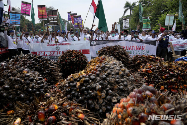 사진=뉴시스 제공.