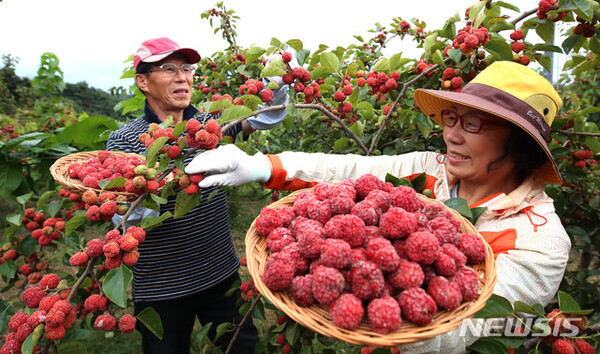 사진=뉴시스 제공.