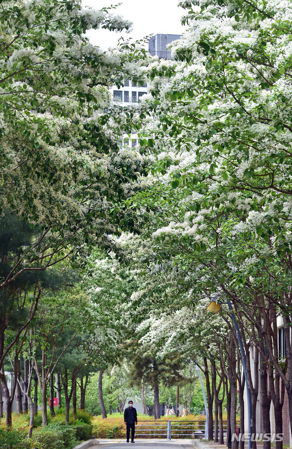 사진=뉴시스 제공.