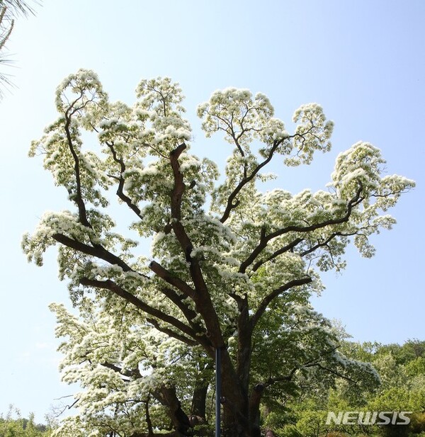 사진=뉴시스 제공.