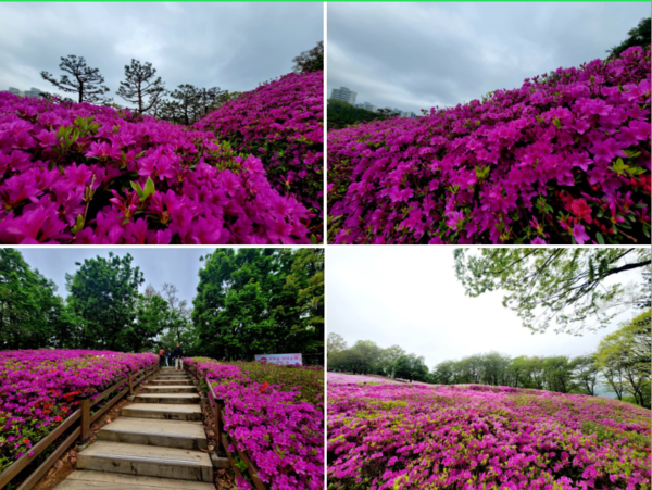 사진=정진영 작가 제공.