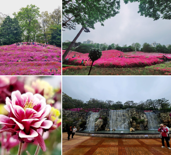 사진=정진영 작가 제공.