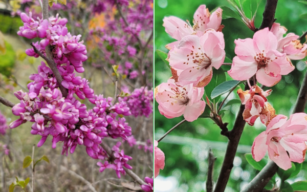 사진=정진영 작가 제공.