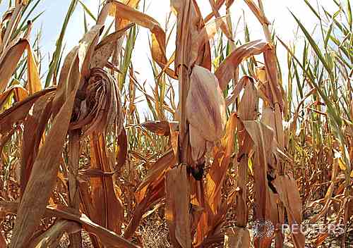 사진=뉴시스 제공.