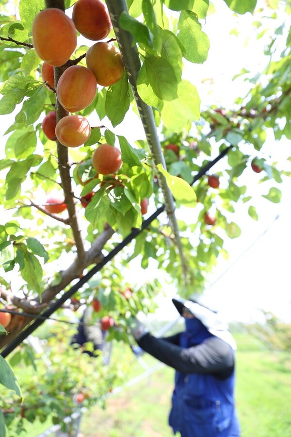 사진=뉴시스 제공.