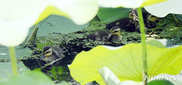 사진=뉴시스 제공.