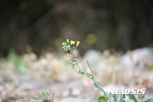 사진=뉴시스 제공.