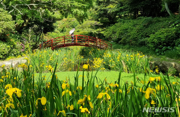 사진=뉴시스 제공.