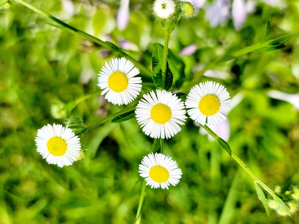 사진=정진영 작가 제공.