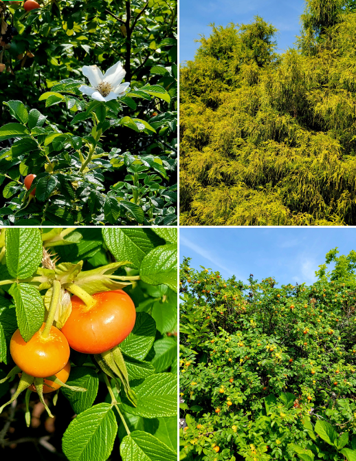 사진=정진영 작가 제공.