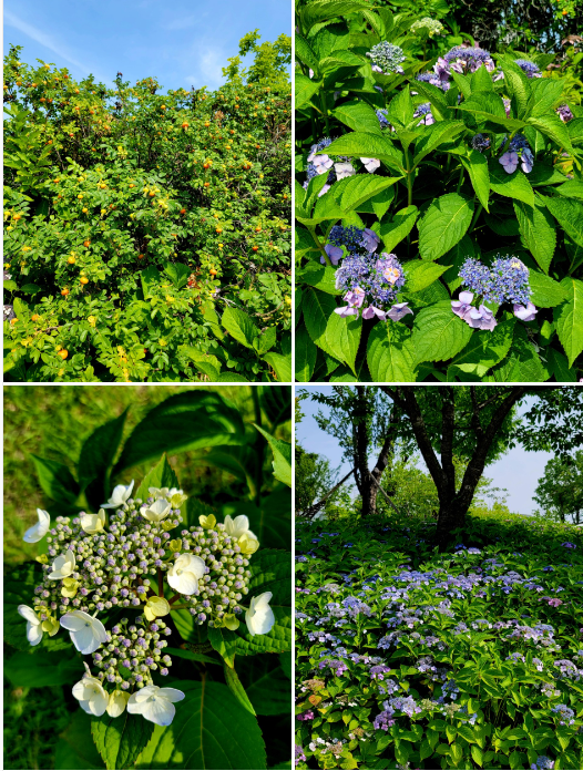 사진=정진영 작가 제공.