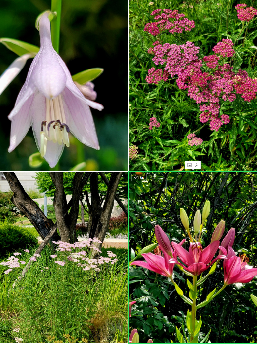 사진=정진영 작가 제공.