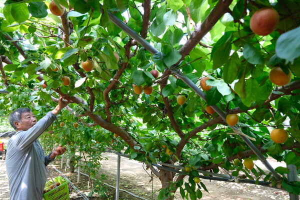 사진=뉴시스 제공.