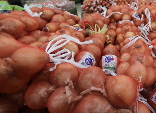 사진=뉴시스 제공.