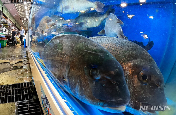 사진=뉴시스 제공.