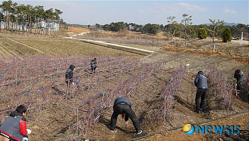 사진=뉴시스 제공.