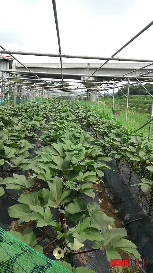 사진=뉴시스 제공.